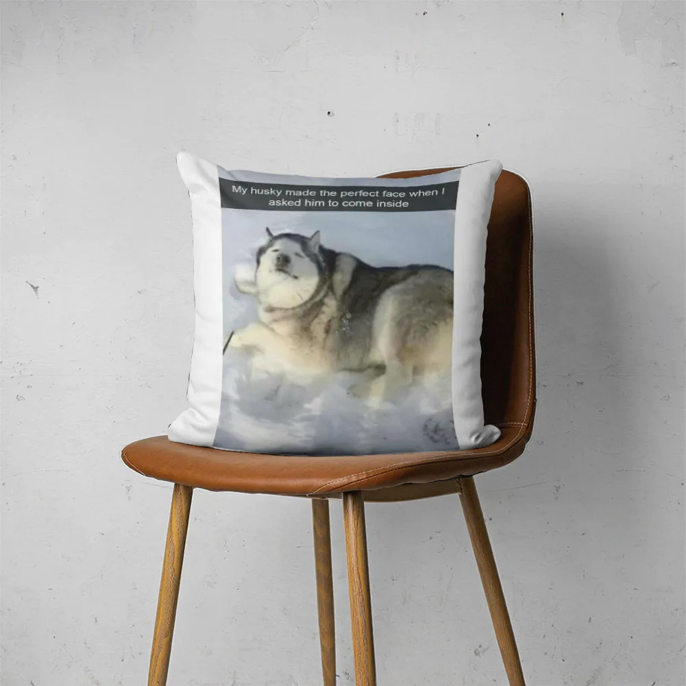 

DOG MEME PILLOW 016 Customizable Bedroom Bed Sofa Hotel Car Lumbar Pillow Fashion Decorative Pillow Cover