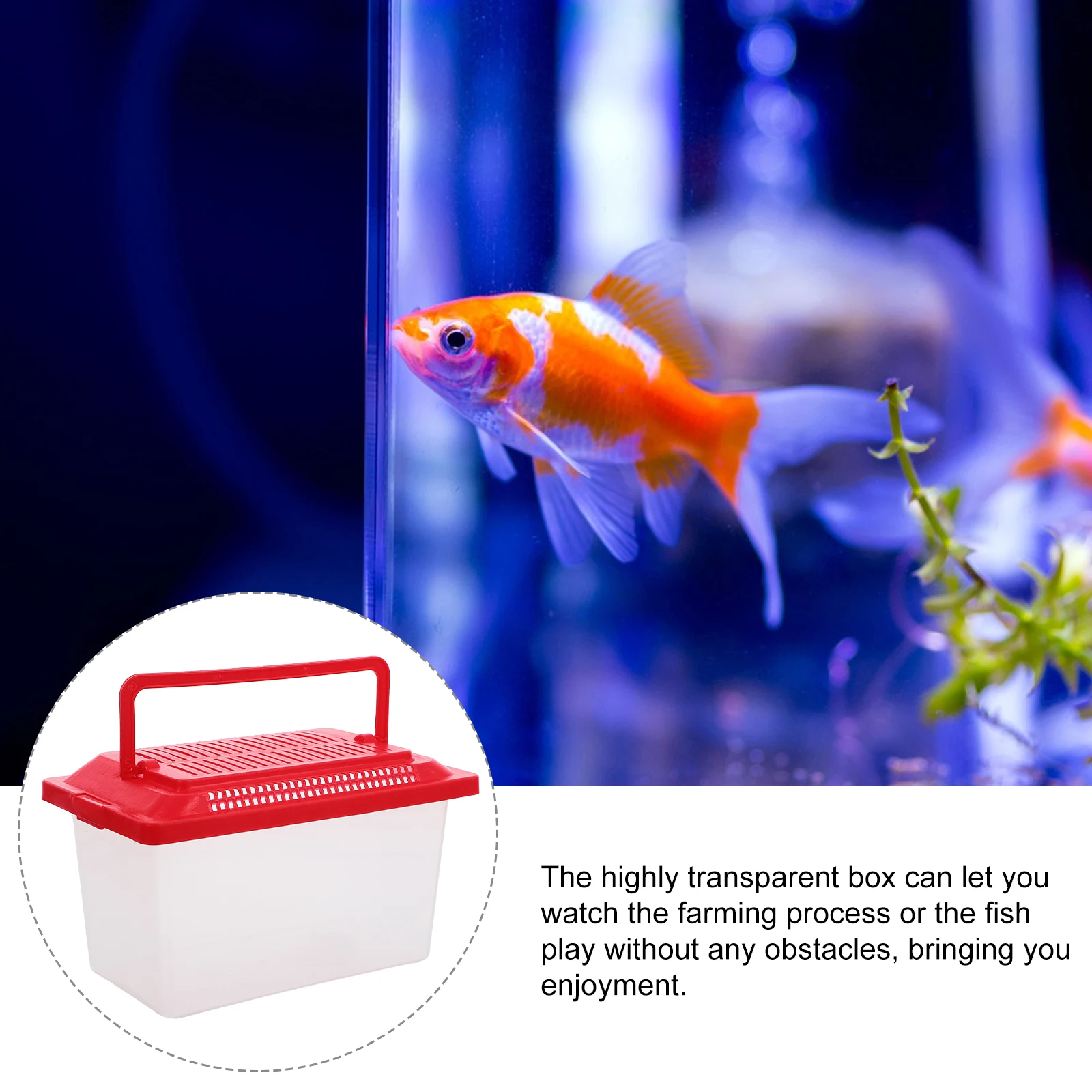 Portable Mini FishTank Handheld Tortoise Aquarium reptile Feeding Fish Tank multiuse Breeding Box durable hamster Box pet tools