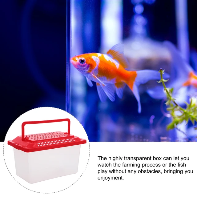 Portable Mini FishTank Handheld Tortoise Aquarium reptile Feeding Fish Tank multiuse Breeding Box durable hamster Box pet tools 5