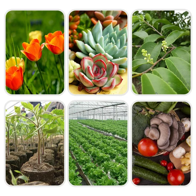 Sótartalmú Kókuszkorpa Kókuszdió Talaj Virágok És Zöldségek Termesztéséhez Mátrix Univerzális Tápanyag -Talaj A -Téglák - Image 6