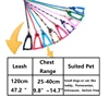Cheap Small Dog Leash Puppy Leashes Teddy Pet Leash And Harness Set Cute Lead Rope Set Cat Kitten Leash Pet Things Decoration 4