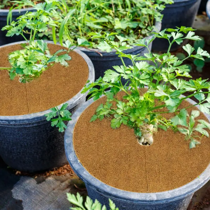 

10 PCS Coco Coir Fiber Tree Tree Plant Protector Mat Coco Liner Mulch Mat For Disc Plant Cover Tree Plant Mats Flower Pot
