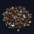 Coffee shell