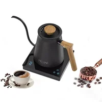 600ml Hand Punch Coffee Kettle Smart Temperature Control Electric Teapot 1000W Rapid Heating Slender Mouth Gooseneck Kettles 2