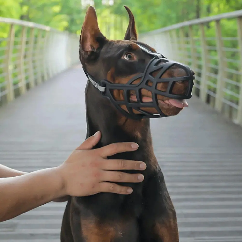 Migliori Museruola Per Bulldog Francese (con Recensioni - Foto 9