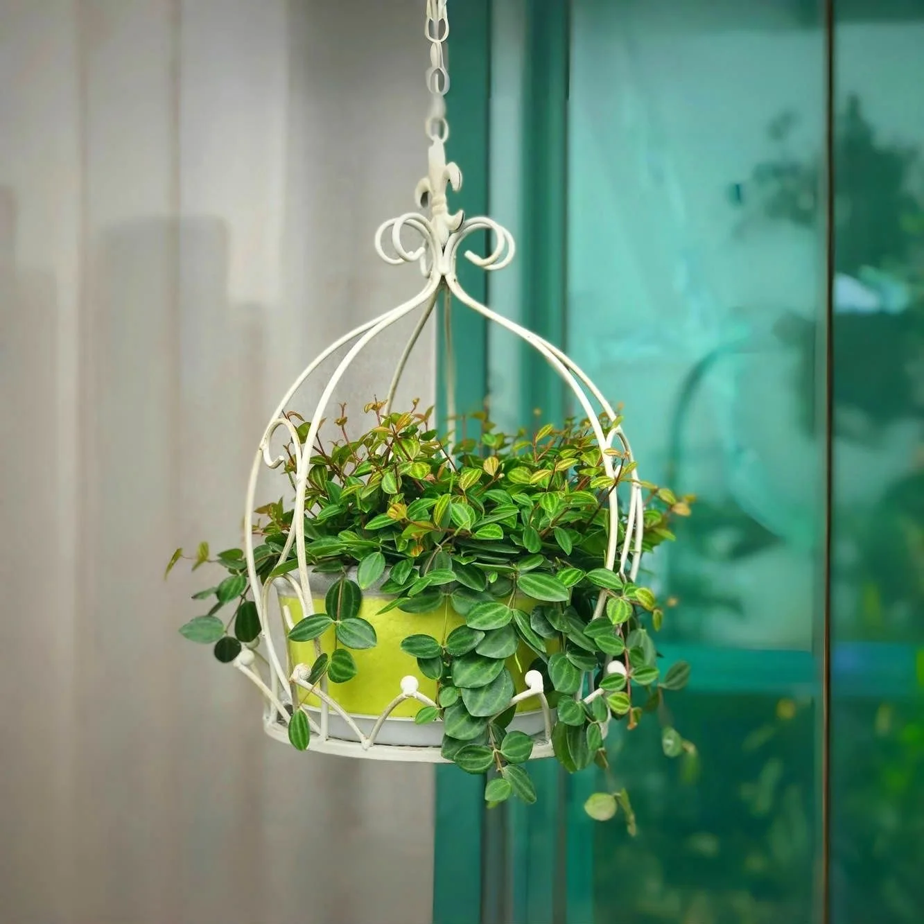 Soporte para plantas colgantes, macetas colgantes para plantas, plantas  colgantes para interiores y exteriores - AliExpress, image size:1333x1333
