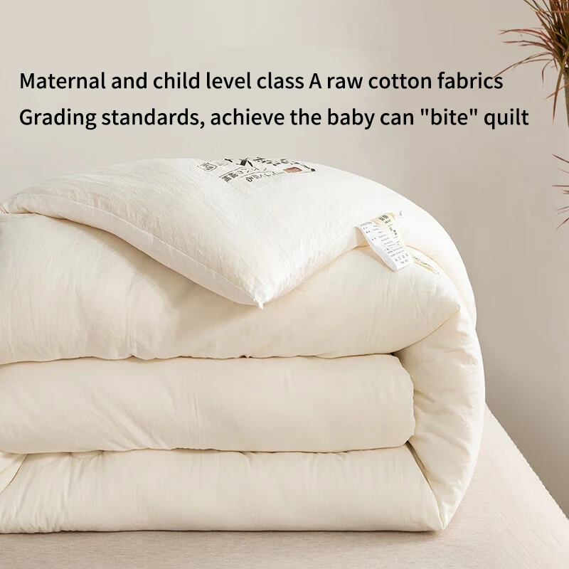 Raw Cotton Soybean Quilt Spring and Autumn Quilt Thickened Winter
