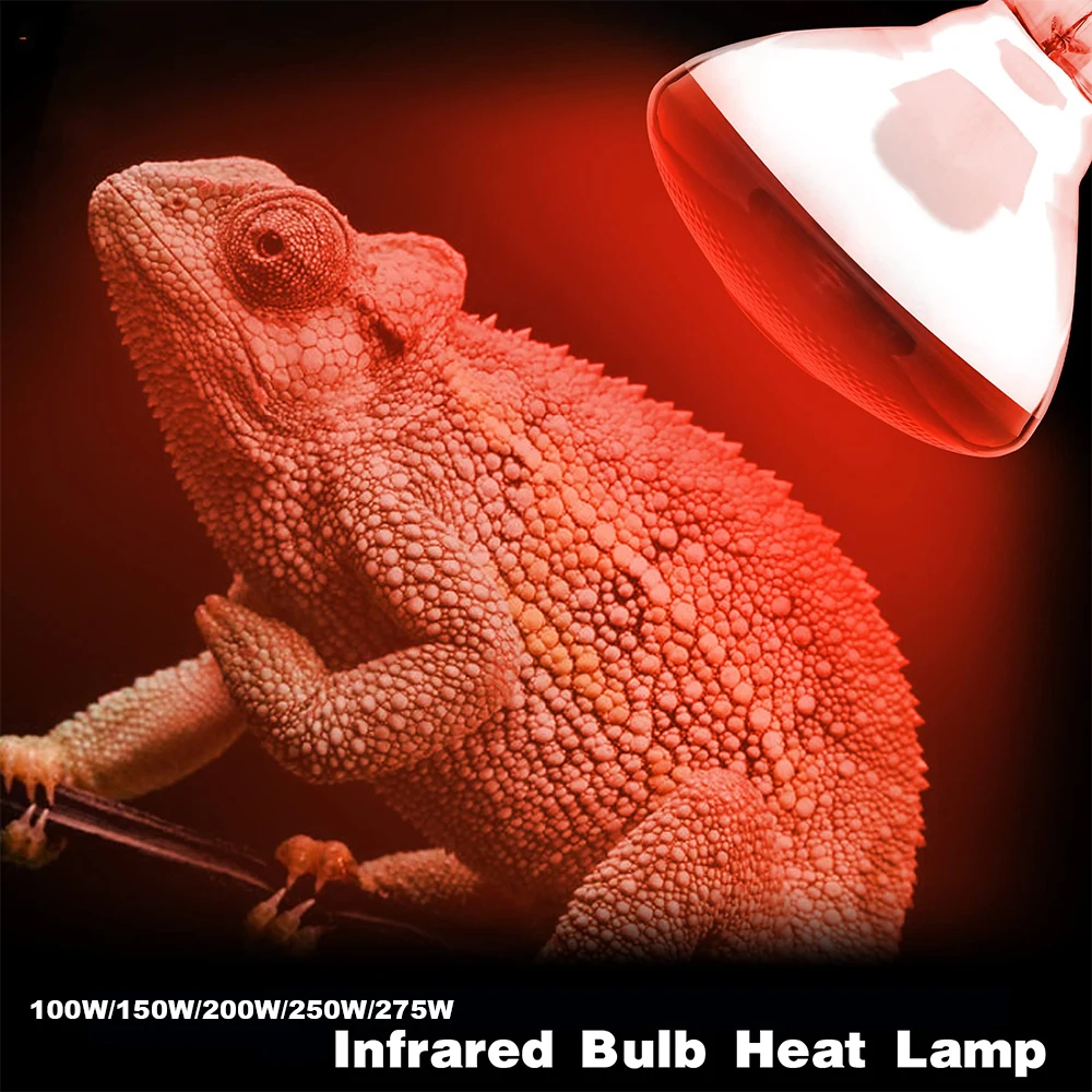 220V Heating Light Bulb Poultry Reptile Plant Amphibian Heating Lamp Pet Livestock Infrared Lighting Reptiles Bulb