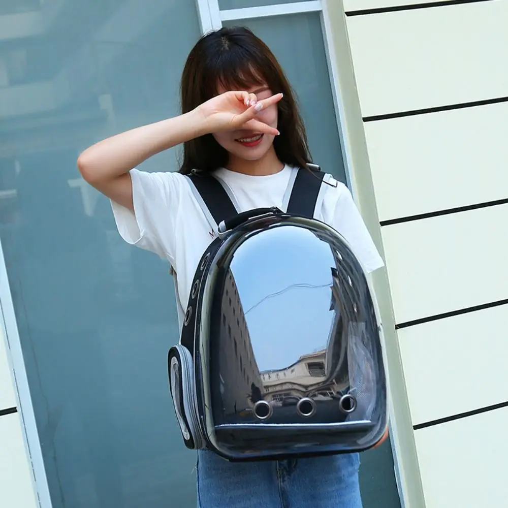 대형 투명 애완동물 운반 가방 통기성 어깨끈 고양이 외출 가방 야외용 다기능