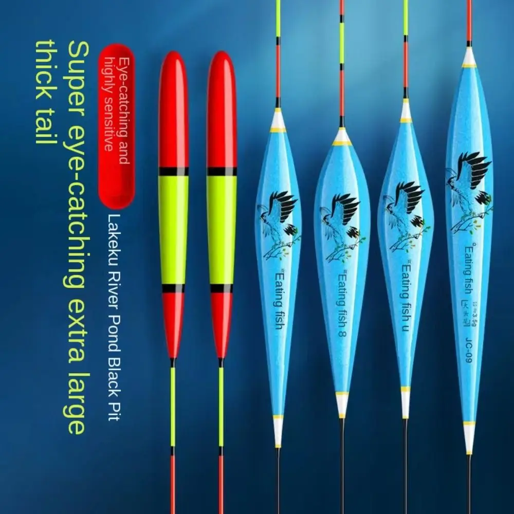 Flotteur de pêche à la carpe sensible et visible avec indicateur de touche et queue colorée