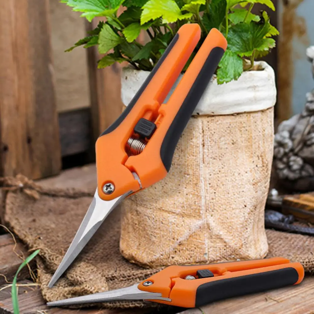1/3/5PCS Inch Gardening Hand Pruner Pruning Shear Trimming Scissors Stainless Steel Straight/ Curved Blades for Buds Herbs