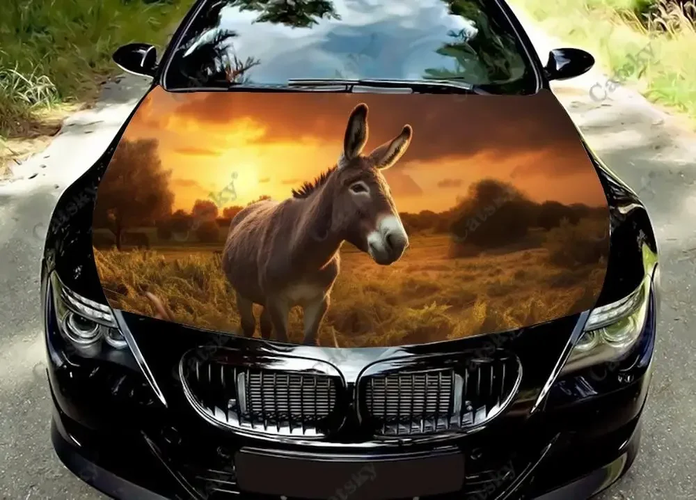 

Funny Donkey Farm Animals Car Hood Decal Truck Decals Vinyl Sticker Graphic Wrap Stickers Trucks Cars Bonnet Vinyls