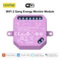 Metering 2 Gang