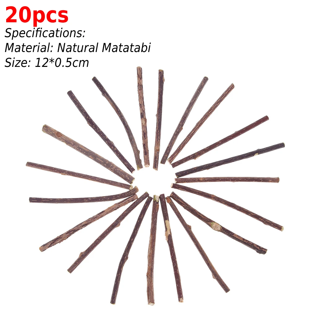 10/15/20 Pcs Cat Teeth Sticks Brushing Pure Natural Catnip Pet Cat Molar Toothpaste Stick Fruit Matatabi Cat Snacks Sticks 