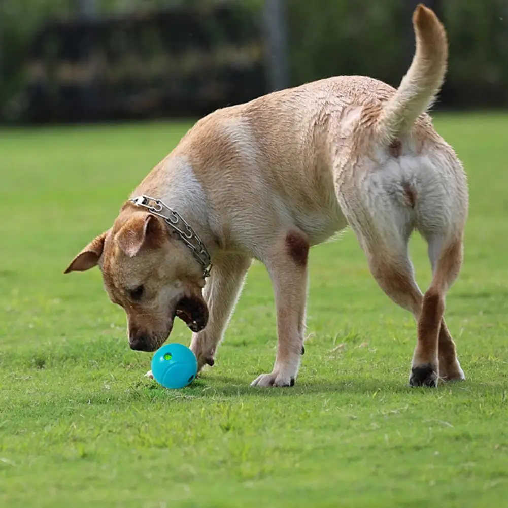 

Игрушка-пазл для собак, игрушка для собак для шлифовки зубов, игрушки для собак для облегчения беспокойства, уборки зубов, веселые звуковые шарики, визуальные подарки для домашних животных