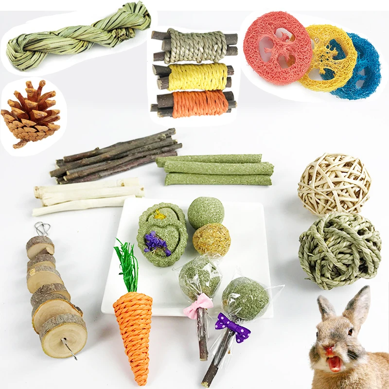 Fhiny Rabbit Chew Toys, 24 PCS Natural Hamster Molar Snacks Handmade