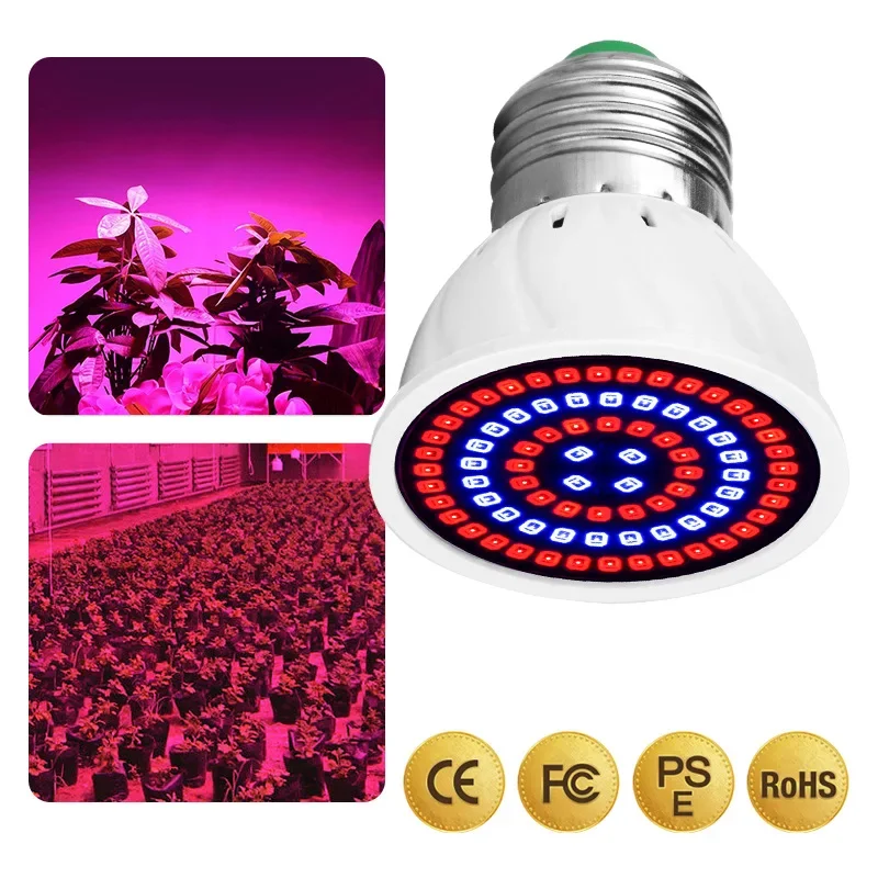 Full Spectrum E27 GU10 MR6 110V 220V LED Plant Grow Light Bulb Fitolampy Phyto Lamp For Indoor Garden Plants Flower Hydroponics 6 Full Spectrum E27 GU10 MR6 110V 220V LED Plant Grow Light Bulb Fitolampy Phyto Lamp For Indoor Garden Plants Flower Hydroponics - Image 6