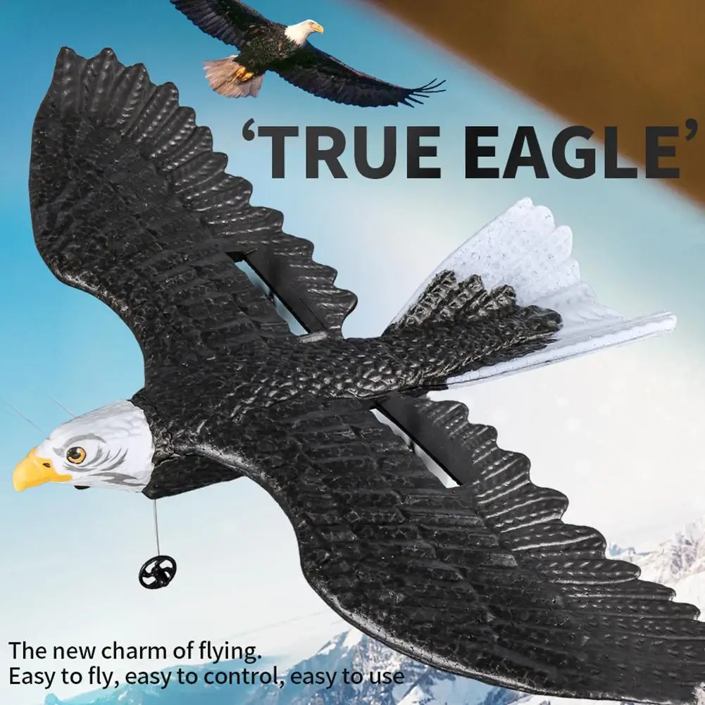 ƿ ̱  ,  RC ۶̴, EPP  RC װ 峭,  , 2.4G