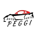 PeGGi Auto Parts Store