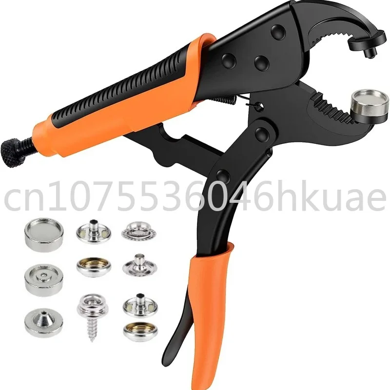 

295 Stainless Steel Screws with Large White Buckle Set, Large Pliers Buckle Set