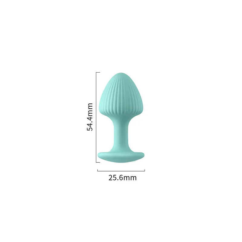 Analdilatations-set Für Anfänger Und Fortgeschrittene Komfort_voghion.com