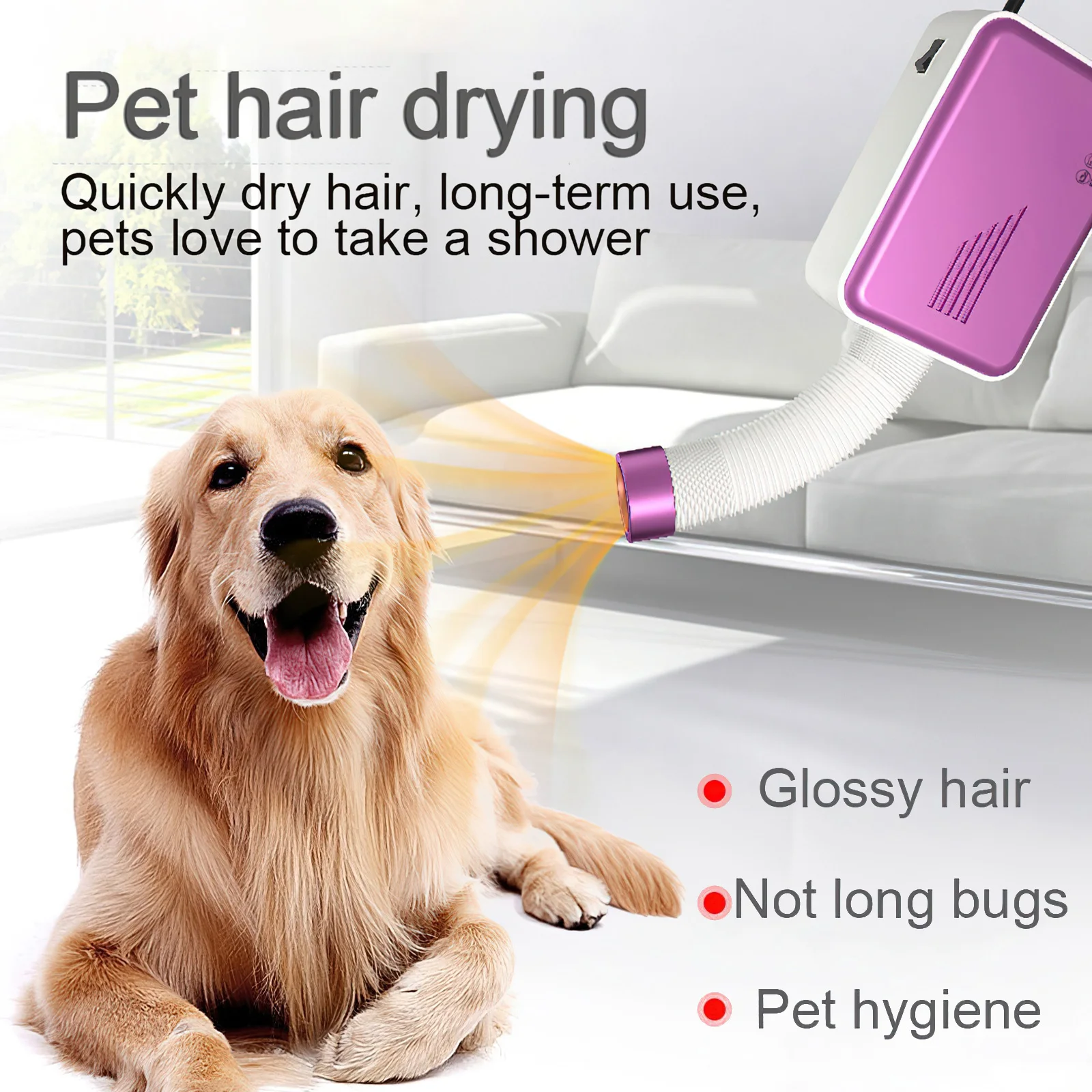 wet shoes hair dryer to dry shoes