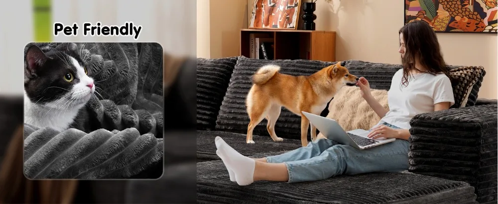Cloud Sectional Couch with L-Shape Chaise