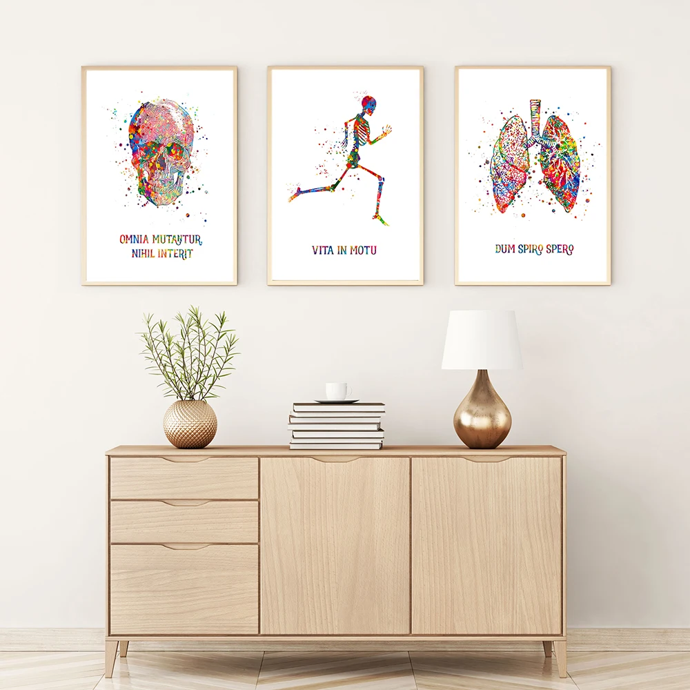 Human Medical Anatomy Vintage Wall Art Canvas Painting Poster Art Prints Heart Lungs Brain Pictures for Clinic Home Decoration