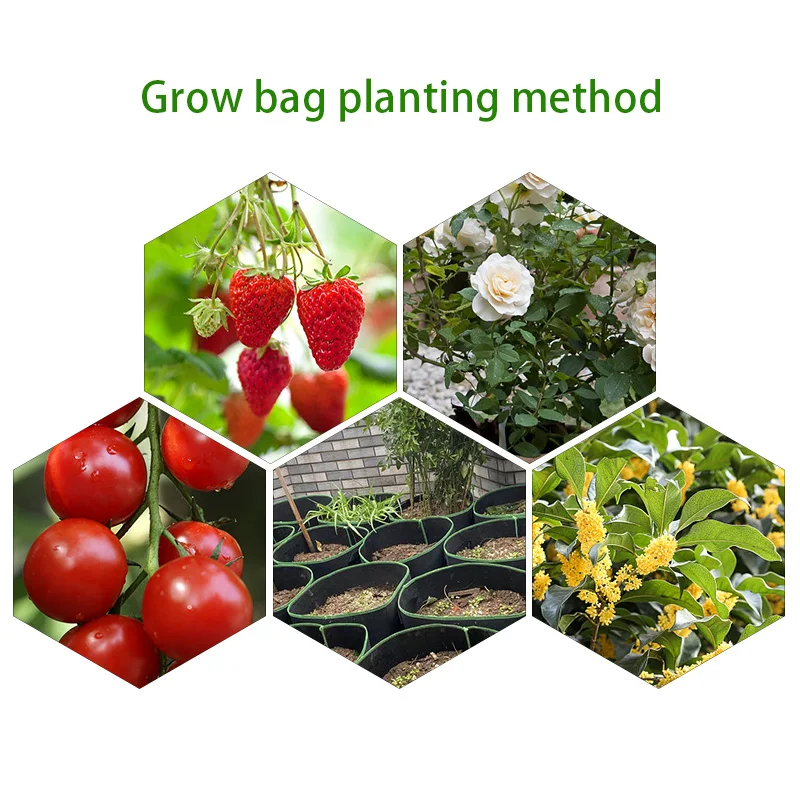 2/3/5/7/10 Gallon Breathable Plant Grow Bags Breathable Felt Fabric Pots Garden Tool Flower Planting Container Nursery Pots Bag