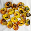 1PC DIY Hand Crafts Gift Insects Amber Gemstone Scorpion Natural And Mineral Stones Home Decoration 5