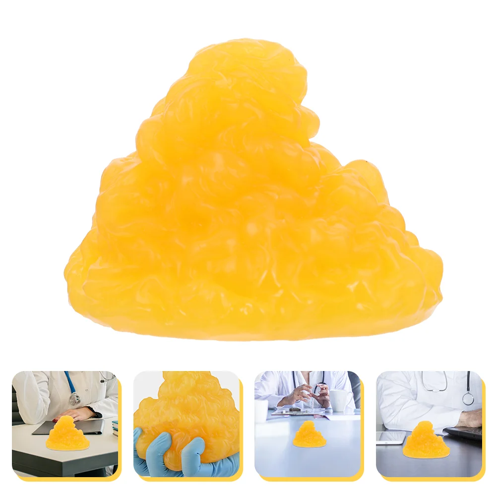 

Body Fat Replica School Students Authentic Demonstration 1-pound Fat Model with Base