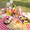 2024 New Picnic Mat Outdoor Thickened Waterproof Camping Non-Woven Fabric Material Picnic mat Moisture-ProofMat Beach Mat 1