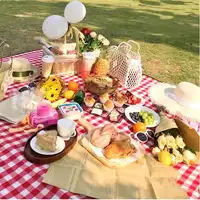 2024 New Picnic Mat Outdoor Thickened Waterproof Camping Non-Woven Fabric Material Picnic mat Moisture-ProofMat Beach Mat 1