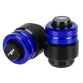 Blue Valve Caps