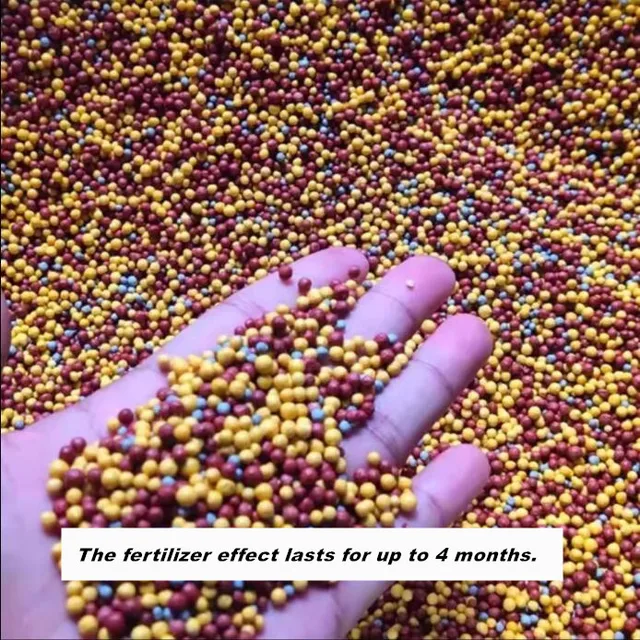 10G/Táska Kertészeti Univerzális Hosszú Távú Lassú Kiadású Műtrágya Összetett Otthoni Kertészethez - Image 3