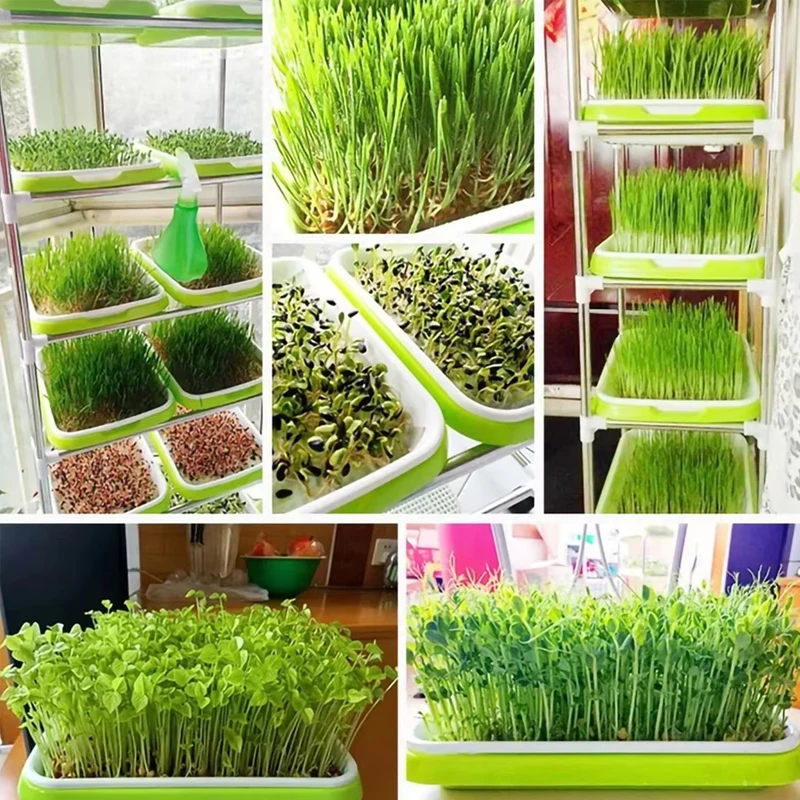 Microgreens Germination Tray Hydroponics/Germination Tray for Germination Horticulture Hydroponics System Garden Nursery Po