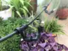 360 Adjustable Universal Spray Misting Nozzle Kit with 5M Hose For Garden Greenhouse Irrigation System Aquarium Reptile Humidity 5