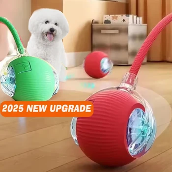 Smart Interactive Dog Ball 1