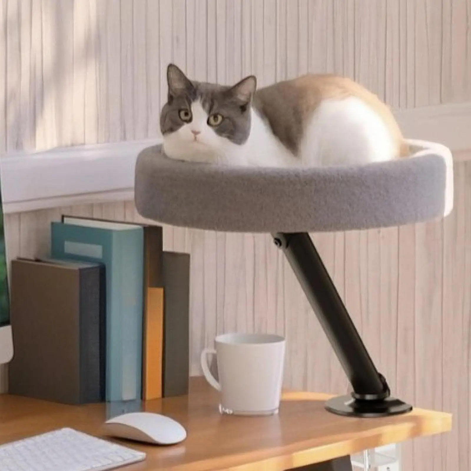 Cat Desk Bed Elevated Kitten Furniture Space Saving Round Cat Bed for Desk Cat Hammock for Side Table Home Study Room