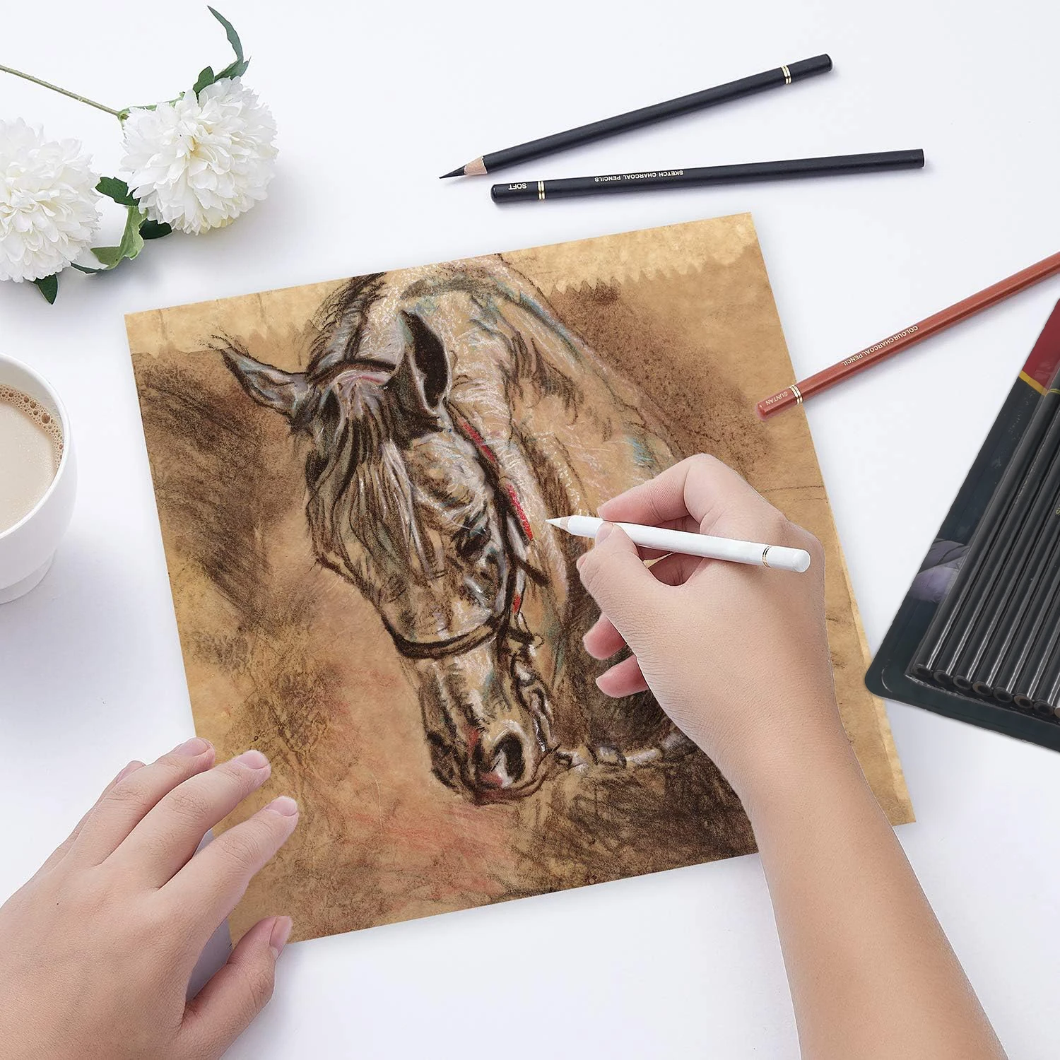 Professional Colored Charcoal Pencils Drawing Set,12 Pieces Pastel Chalk Pencils for Sketching, Shading, Blending, Portrait. 5