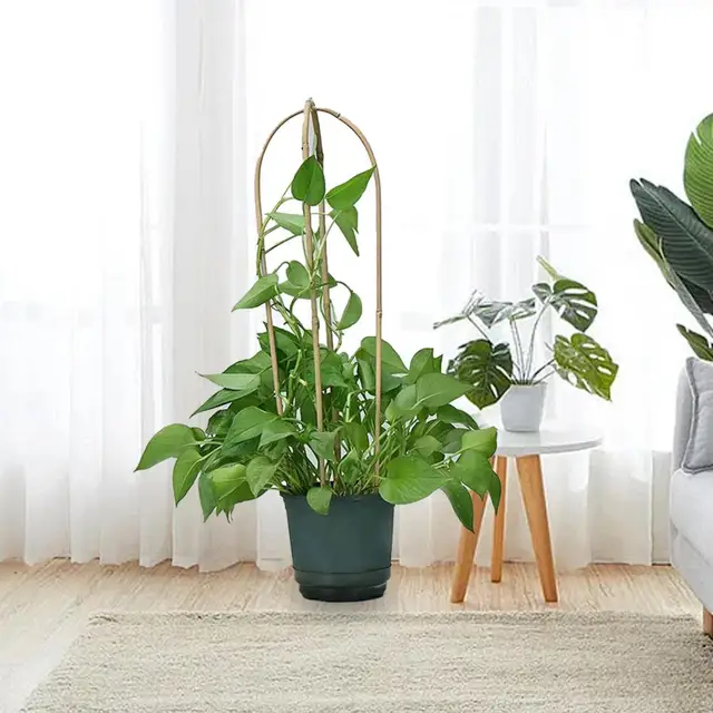 Nagyszerű Cserepes Növényi Támogatás Rugalmas 3 Stílusú Növény Támogatja A Kertészeti Virág Tét Tartós Hegymászó Üzem Otthon - Image 2