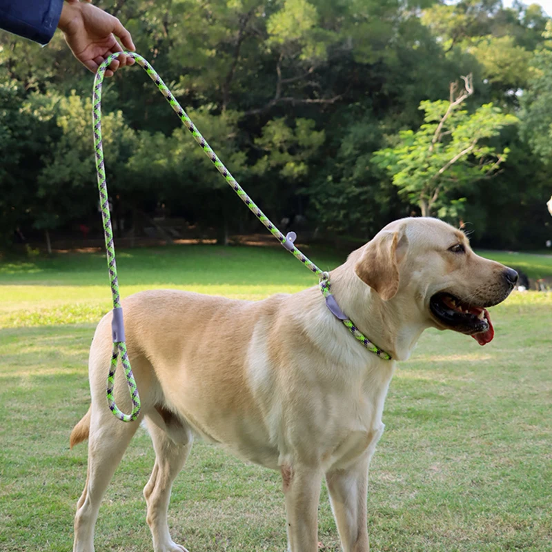 Durable Nylon Pet P Chain for Medium Large Dogs Slip Training Lead