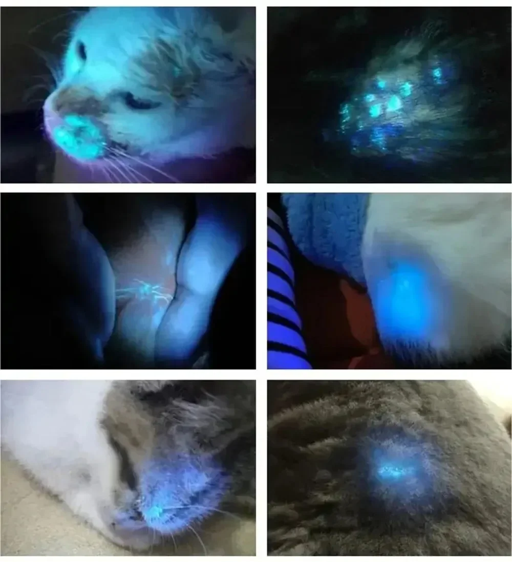 Woods Light Skin Examination For Cat Dog Ringworm Handheld UV Wood's lamp Skin Fungus Detector Vitiligo Pityriasis Versicolor