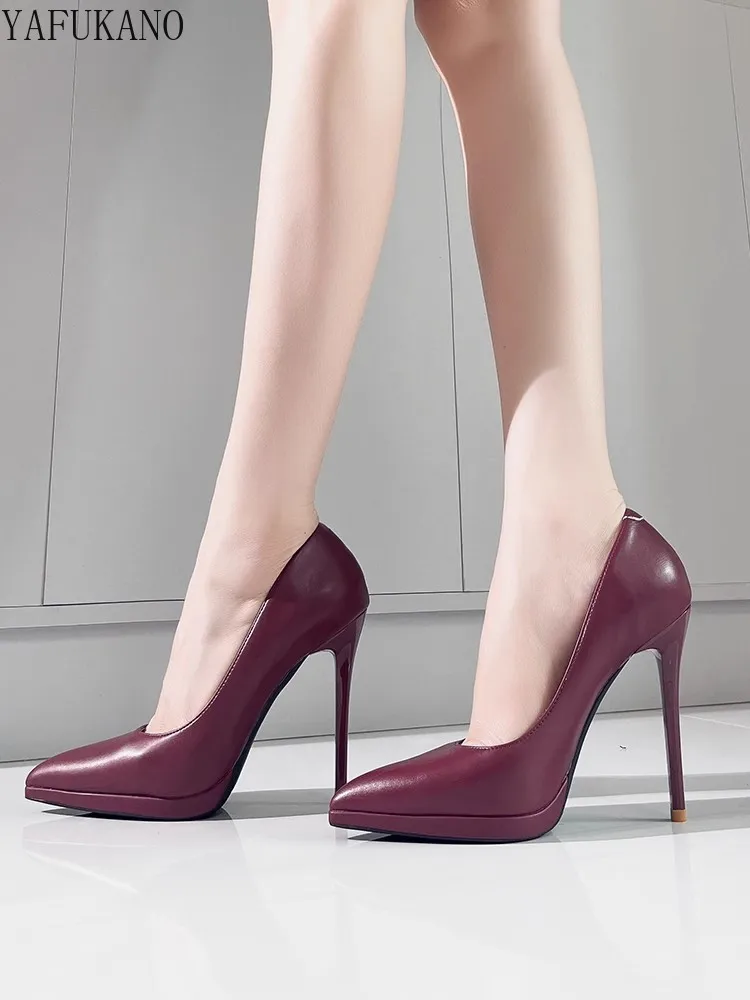 Womens Wine Red Matte Leather High Heels Fashion Pointed Toe Waterproof Platform Stiletto Heels Shoes Girl Party Prom Shoes 43 5