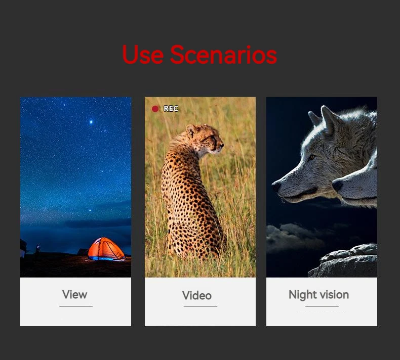 S5bb3269caaf54397a065b4bda7aaa8a5y