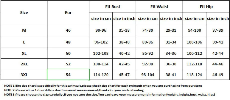 2 PCS New Plus Size XL-3XL Women Floral Tankini Tummy Control Swimwear Retro Printed Swimsuit Two Piece Bathing Suit
