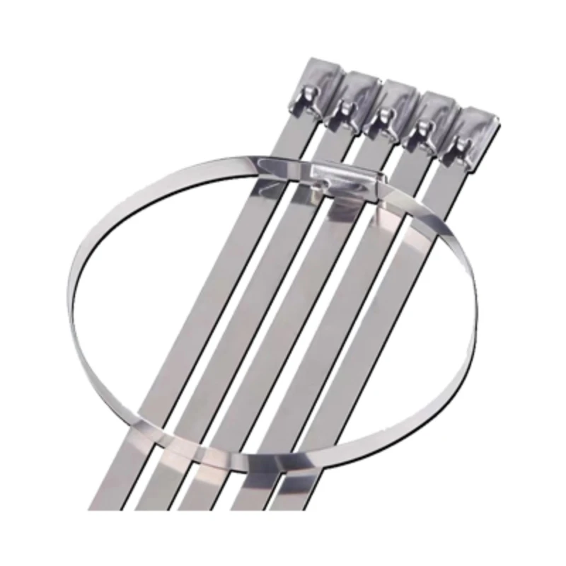 Cable Ties 100pcs for Exhaust Heat Straps Induction pipe 4.6mm width 100-700mm 304 Material