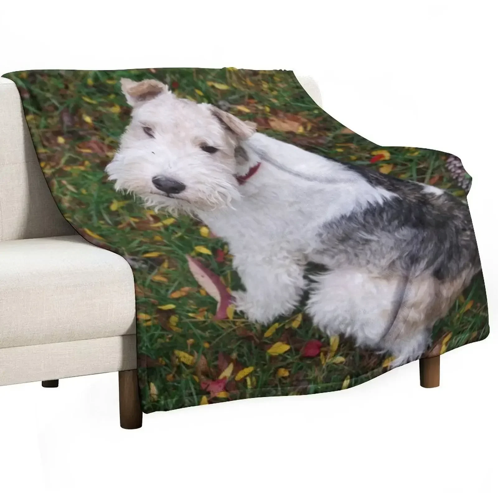 

Yes Was There Something You Wanted Throw Blanket Nap Summer Blankets