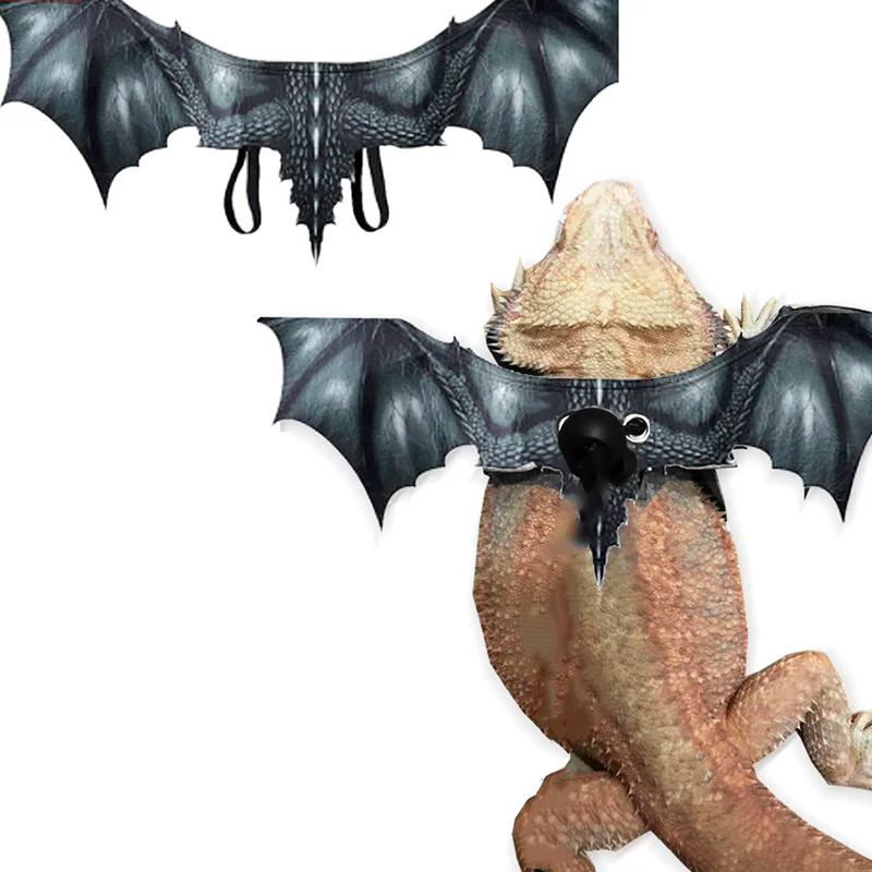 Lizard Leash Tyrannosaurus Rex Chameleon Climbing Pet Outing Leather Wing Chest Strap Chameleon Squirrel Leash Small Pet Supplie