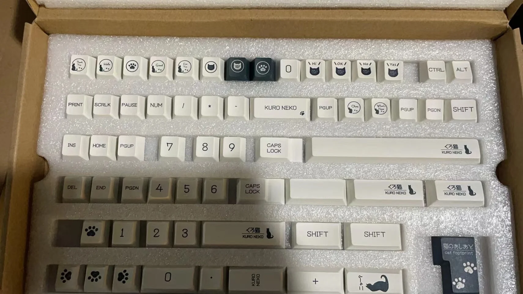 1005004551383996